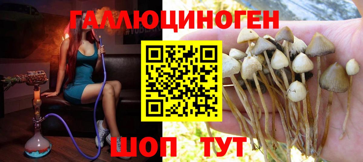 Волгодонск  Псилоцибиновые грибы MAGIC MUSHROOMS  Галлюциногенные грибы мухоморы  Вход с VPN 